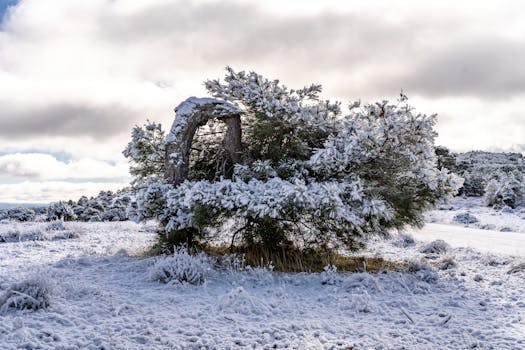 Explore Canalejas del Arroyo: A Culinary Journey in Castilla-La Mancha