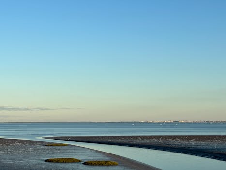 Discover Canalejas del Arroyo: A Hidden Gem for History Lovers