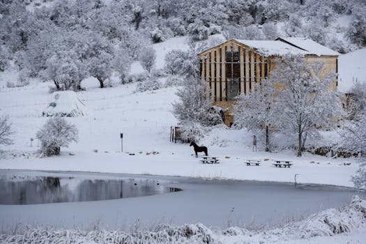 Discover Winter Magic in Canalejas del Arroyo: Traditions & Adventures