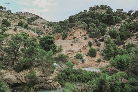 Explore Vibrant Traditions: The Festivals of Canalejas del Arroyo, Spain