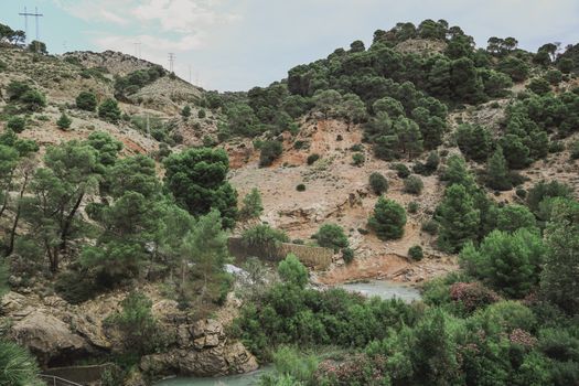 Explore Canalejas del Arroyo: A Guide to Nearby Nature Reserves